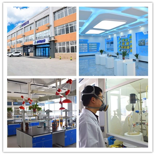 9-Oxo-10(9H)-acridineacetic acid R&D center